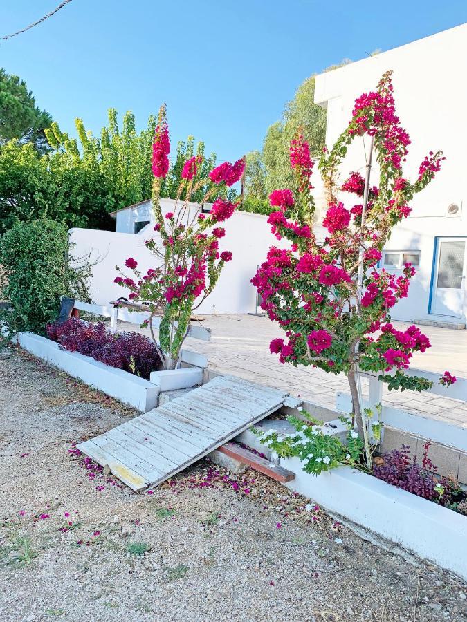 Apollonio Suites & Rooms Faliraki Rhodes Екстер'єр фото